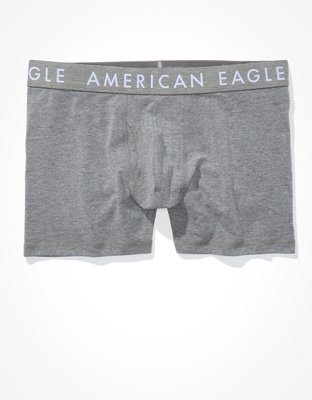 AEO Dollar Bills 4.5 Classic Boxer Brief