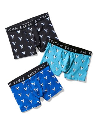 AEO 4.5" Classic Boxer Brief Multipack