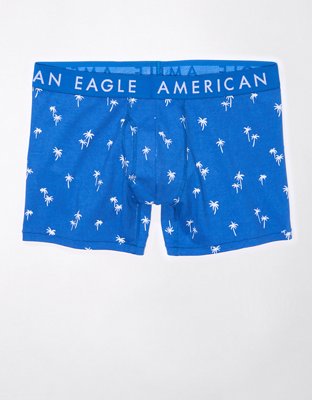 AEO Palm Trees 4.5 Classic Boxer Brief