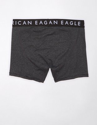 AEO 4.5" Classic Boxer Brief