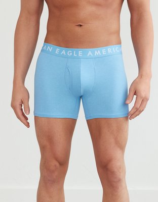 AEO 4.5" Classic Boxer Brief