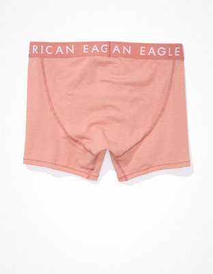 AEO 4.5" Classic Boxer Brief