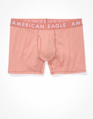 AEO 4.5" Classic Boxer Brief