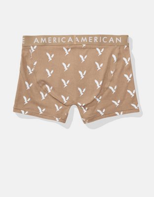 AEO 4.5" Classic Boxer Brief 3-Pack