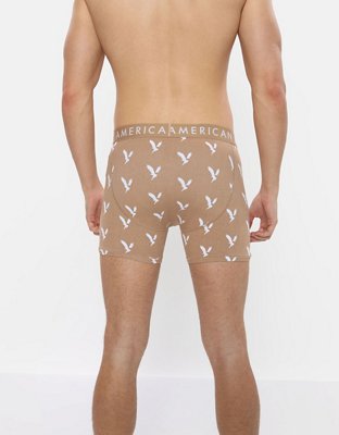 AEO 4.5" Classic Boxer Brief 3-Pack