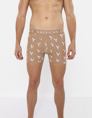 AEO 4.5" Classic Boxer Brief 3-Pack