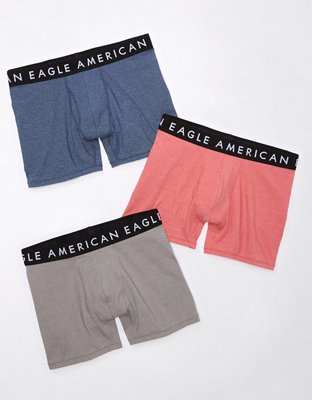 AEO 4.5" Classic Boxer Brief 3-Pack