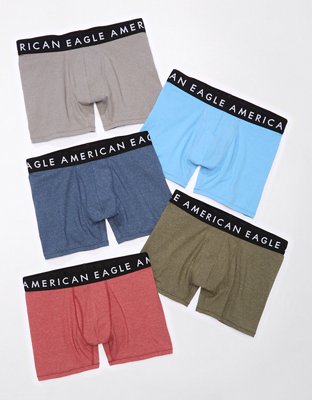 AEO 4.5" Classic Boxer Brief 5-Pack