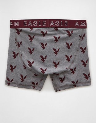 AEO Eagles 4.5" Classic Boxer Brief