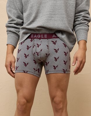 AEO Men's Eagles 4.5" Classic Boxer Brief