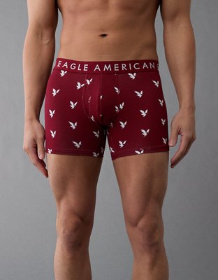 AEO Eagles 4.5" Classic Boxer Brief