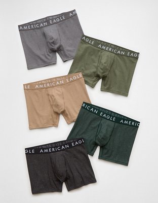 AEO Men's 4.5" Classic Boxer Brief 5-Pack