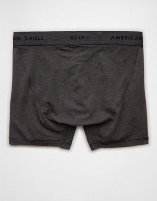 AEO Men's 4.5" Classic Boxer Brief