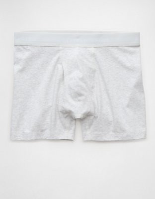 AEO Men's 4.5" Classic Boxer Brief