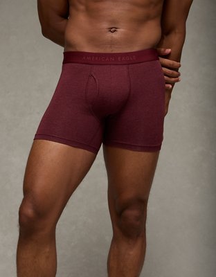 AEO Men's 4.5" Classic Boxer Brief