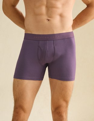 AEO Men's 4.5" Classic Boxer Brief