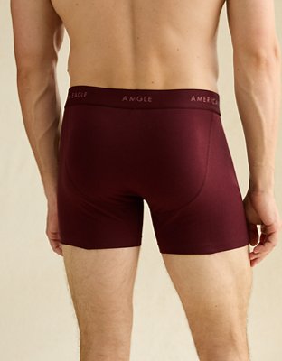 AEO Men's 4.5" Classic Boxer Brief