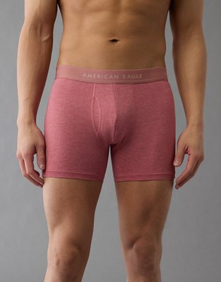 AEO Men's 4.5" Classic Boxer Brief