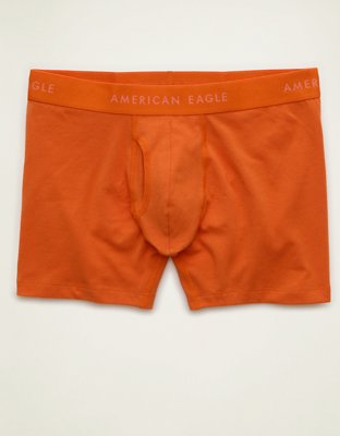 AEO Men's 4.5" Classic Boxer Brief