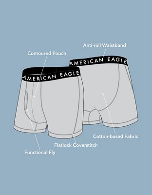 AEO Eggplants 4.5" Classic Boxer Brief