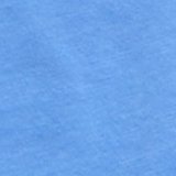 Blooming Bright Blue