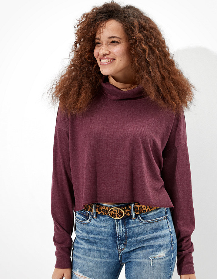 Download AE Cropped Long Sleeve Mock Neck T-Shirt