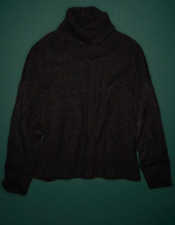 AE77 Premium Turtleneck Sweater