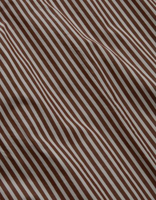 AE77 Premium Striped Poplin Maxi Dress