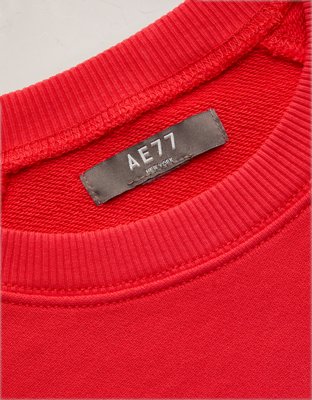 AE77 Lightweight Terry Fleece Raglan Sweatshirt