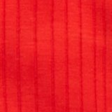 Holiday Red