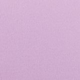 Violet Tulip