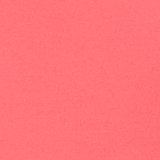 Haute Coral