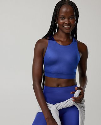 OFFLINE By Aerie Goals Gloss High Neck Sports Bra