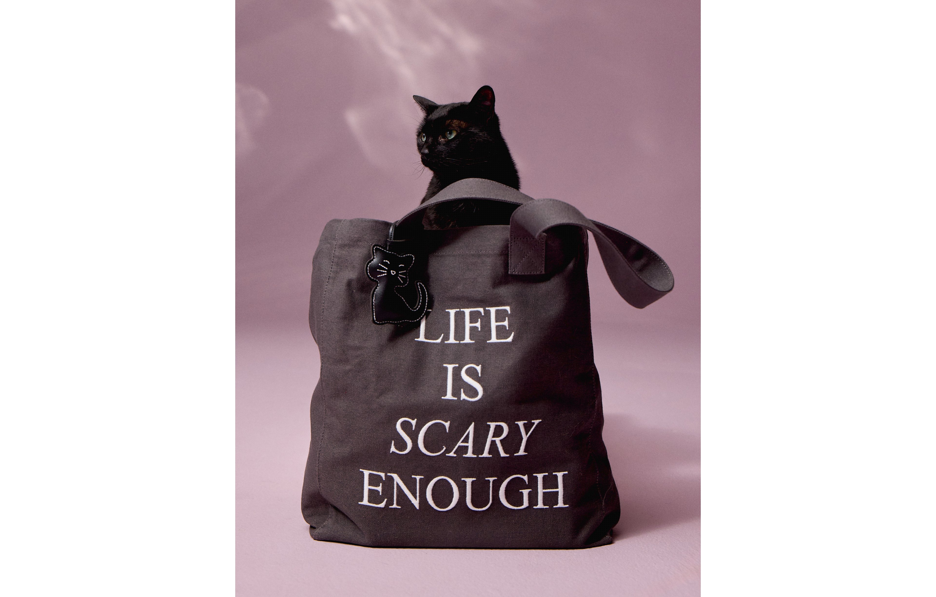 Aerie Market Tote