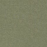 Olive Fun