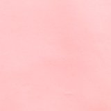 Shell Pink