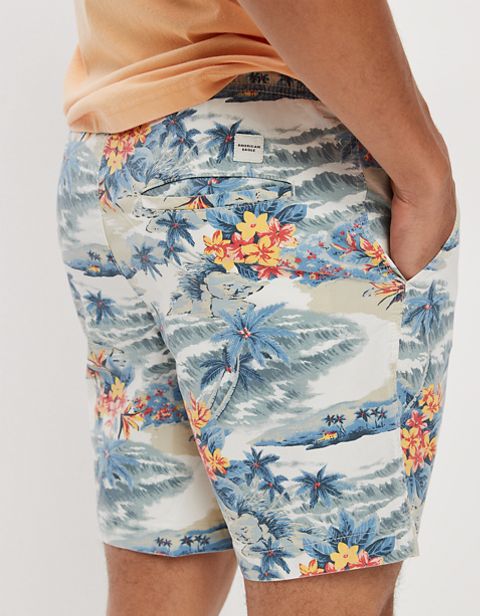 Мужские брюки American Eagle AE x The Summer I Turned Pretty 5.5" Lived-In Trekker Short