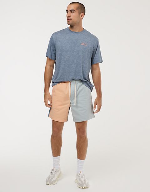 Мужские брюки American Eagle AE 24/7 Flex 7" Lived-In Colorblock Trekker Short
