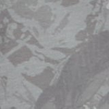 Shell Gray