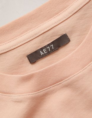 AE77 Premium Everyday T-Shirt | American Eagle
