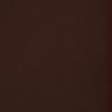 AEO Fear Nothing 1.7oz Eau de Cologne