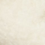 AE Snoopy Pumpkin Scuff Slipper