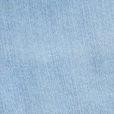 Light Bright Indigo