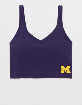 Michigan Wolverines OFFLINE By Aerie Low Key Sports Bra
