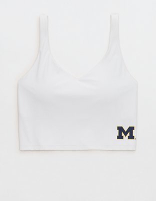 Michigan Wolverines OFFLINE By Aerie Low Key Sports Bra