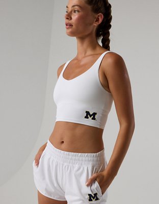 Michigan Wolverines OFFLINE By Aerie Low Key Sports Bra