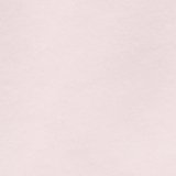 Pink Petal
