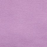 Violet Tulip