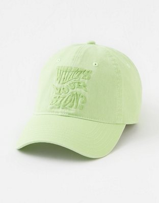 OFFLINE By Aerie Baseball Hat