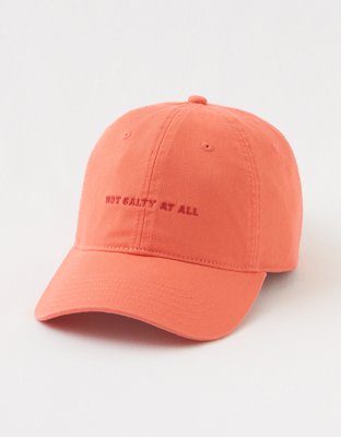 OFFLINE By Aerie Baseball Hat
